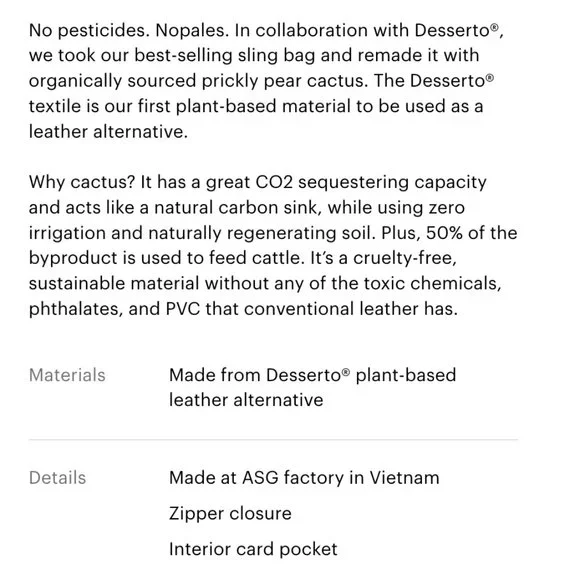 NWT Everlane The Cactus Leather Sling Belt Crossbody Bag - Picture 7 of 10